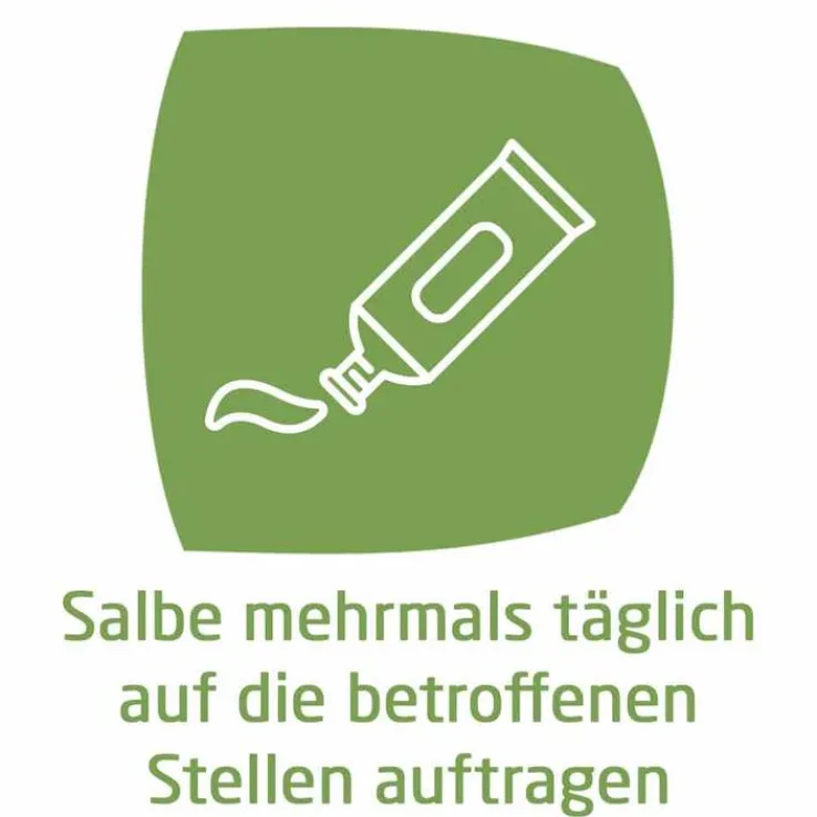 Calendula Wundsalbe bei Schürfwunden und Hautverletzungen, 25 g