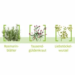 Canephron N Dragees, 200 St> Blasenentzündung Medikamente