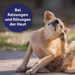 Canosept Hautpflege Spray für Hunde, 250 ml