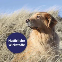 Canosept Hautpflege Spray für Hunde, 250 ml