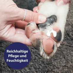 Canosept Pfotenpflege Gel für Hunde, 75 g> Fell & Haut