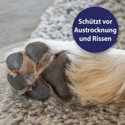 Canosept Pfotenpflege Gel für Hunde, 75 g><noscript><img width=