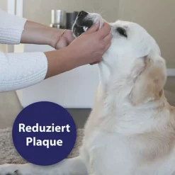 Canosept Zahnpflege Finger-Pads für Hunde, 50 St