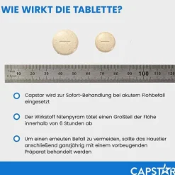 Capstar ™ 11,4 mg Tabletten für Katzen und kleine Hunde, 6 St><noscript><img width=
