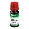 Carbo animalis Arcana LM 6 Dilution, 10 ml