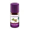Taoasis Cardamom Öl Bio, 5 ml> Ätherische Öle & Duftöle