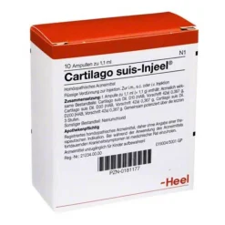 Cartilago suis Injeel Ampullen, 10 St