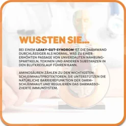 Casa Sana Maxiamin Kapseln, 160 St> Aminosäuren|Verdauung