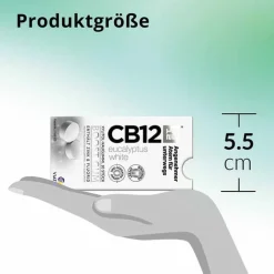 CB12 boost Eucalyptus white Kaugummi, 10 St