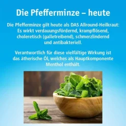 China Öl China Oel mit Inhalator, 25 ml><noscript><img width=