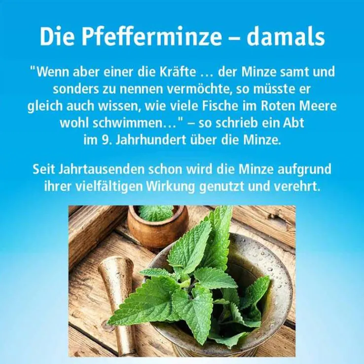 China Oel ohne Inhalator, 10 ml