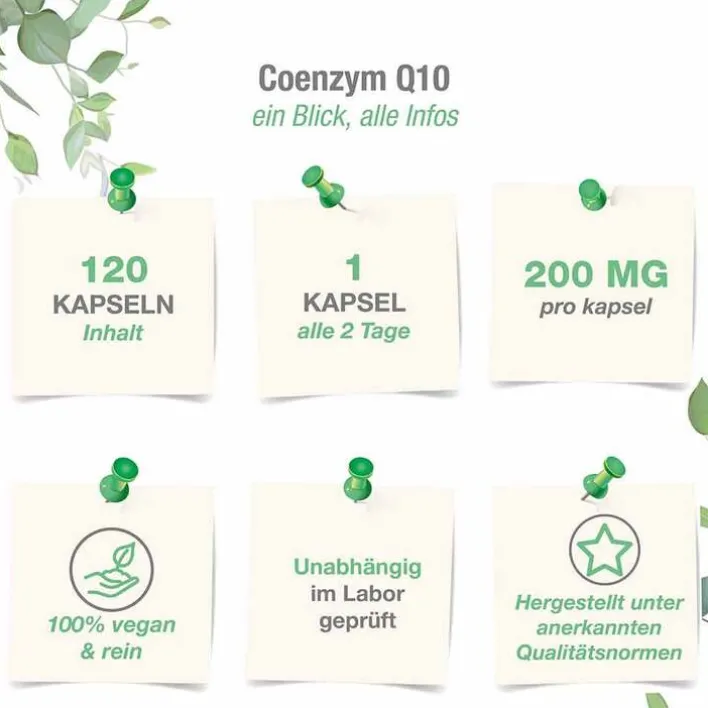 Vitabay Coenzym Q10 Ubichinon Komplex 200 mg vegan Kapseln, 120 St> Coenzym Q10