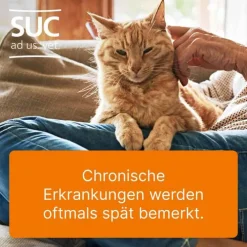 Heel Coenzyme compositum® ad us. vet. Ampullen (2,2 ml), 10 St> Biologische Heilmittel Heel Gmbh