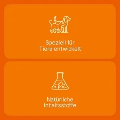 Heel Coenzyme compositum® ad us. vet. Ampullen (2,2 ml), 10 St><noscript><img width=