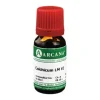 Arcana Colchicum LM 6 Dilution, 10 ml> C