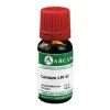 Arcana Conium LM 6 Dilution, 10 ml> C