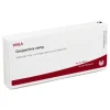 Conjunctiva comp. Ampullen, 10X1 ml