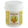 Cordyceps sinensis Kapseln, 100 St
