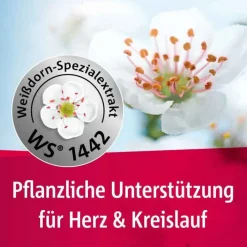 Crataegutt ® 450 mg Herz-Kreislauf-Tabletten, 200 St><noscript><img width=