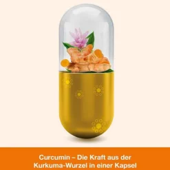 Curcumin-loges Kapseln, 60 St