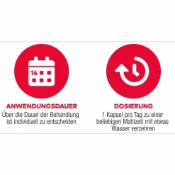 D3 + K2 Vit AL 2000 I.E. / 80 µg Kapseln, 90 St