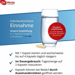 Dr. Wolz Darmflora plus select complex magensaftresistent Kapseln, 40 St><noscript><img width=