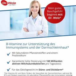 Dr. Wolz Darmflora plus select complex magensaftresistent Kapseln, 80 St><noscript><img width=