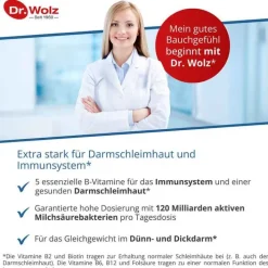Dr. Wolz Darmflora plus select intens Kapseln, 40 St> Bakterienkulturen