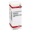 DHU Abrotanum D 1 Dilution, 20 ml