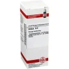 DHU Arnica D 4 Dilution, 20 ml