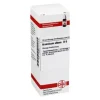 DHU Arsenicum album D 6 Dilution, 20 ml> A