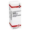 DHU Atropinum sulfuricum D 6 Dilution, 20 ml> A