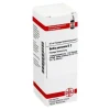 DHU Bellis perennis D 2 Dilution, 20 ml> B