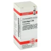 DHU Cimicifuga C 30 Globuli, 10 g> C|C