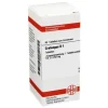 DHU Crataegus D 1 Tabletten, 80 St> C