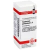 DHU Eupatorium perfoliatum C 6 G, 10 g> E|E
