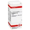 DHU Fagopyrum D 6 Tabletten, 80 St> F