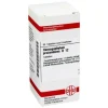 DHU Harpagophytum procumbens D 12 Tabletten, 80 St