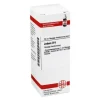 DHU Jodum D 6 Dilution, 20 ml