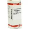 DHU Leonurus Cardiaca D 3 Dilution, 20 ml> L