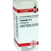 DHU Leptandra D 4 Globuli, 10 g