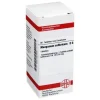 DHU Manganum sulfuricum D 6 Tabletten, 80 St