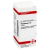 DHU Phosphorus D 12 Tabletten, 80 St