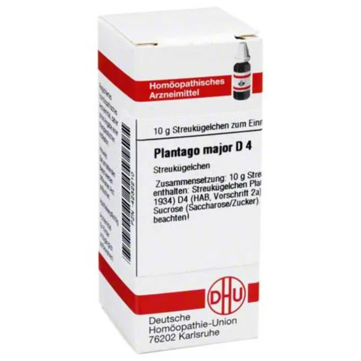 DHU Plantago Major D 4 Globuli, 10 g> P|P