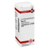DHU Ruta D 6 Dilution, 20 ml> Q-R