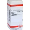 DHU Spartium Scoparium D 12 Tabletten, 80 St> S