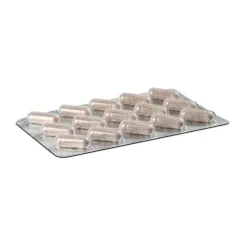 Diatruw Zimtextraktkapseln, 60 St