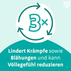 Digestopret® magensaftresistente Weichkapseln, 15 St