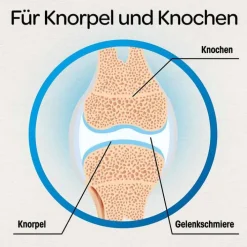 Dr. Böhm Knorpel & Knochen Tabletten, 60 St><noscript><img width=