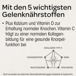 Dr. Böhm Knorpel & Knochen Tabletten, 60 St><noscript><img width=